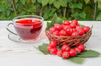 Применение боярышника в медицине
